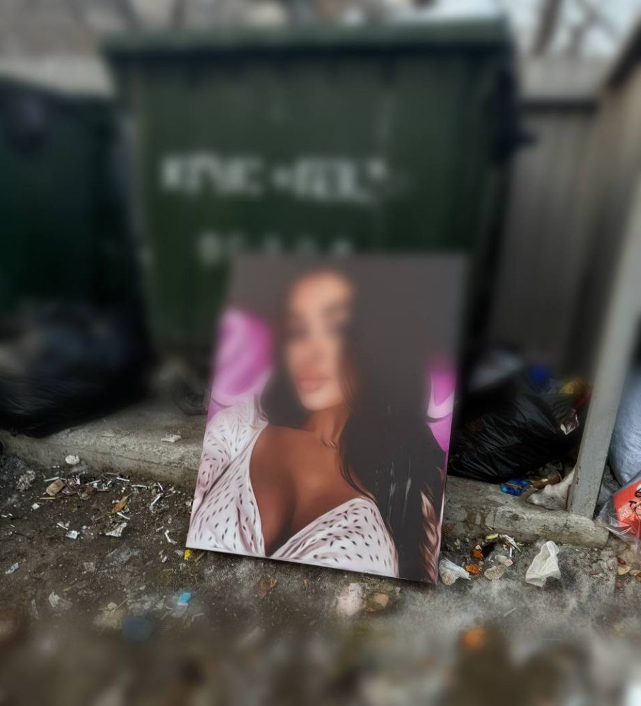 Выкинул бывшую… на мусорку? Во Владивостоке обнаружили загадочный портрет красивой леди