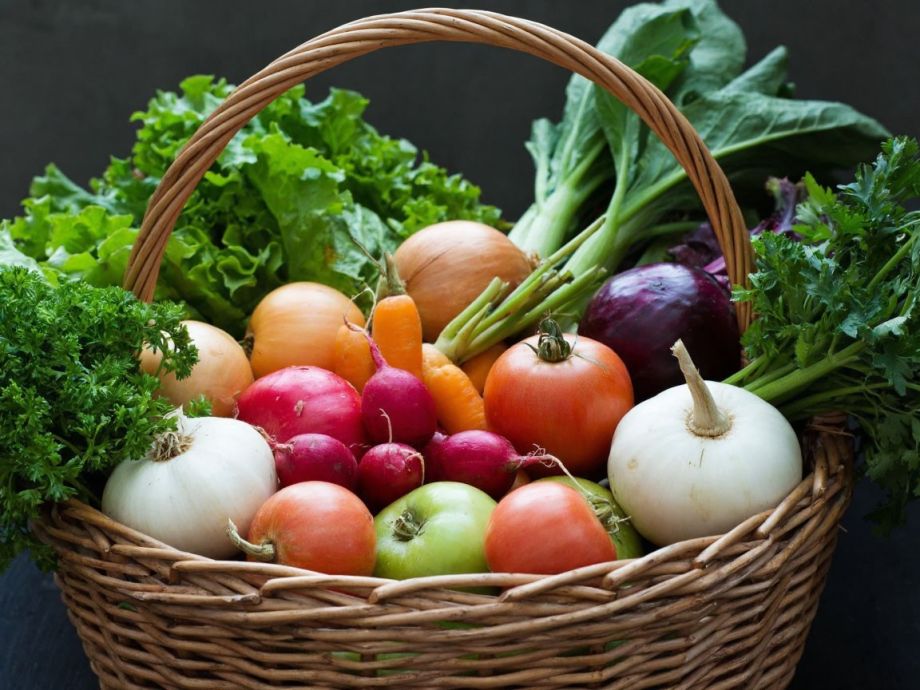 Полный огород урожая уже в мае: что сеять в феврале на рассаду