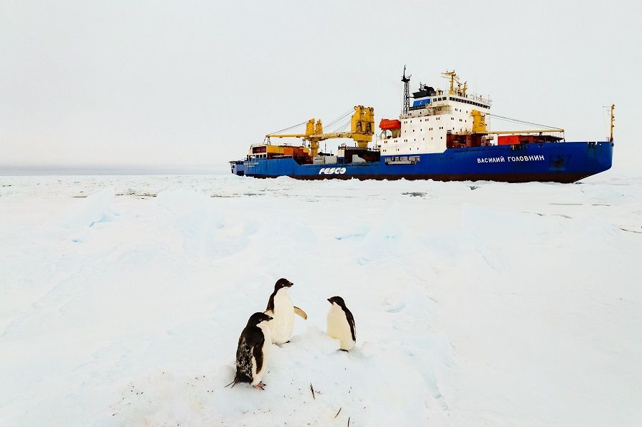 Дизель-электроход FESCO «Василий Головнин» прибыл на индийскую антарктическую станцию «Бхарати»