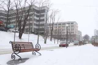 Фото: Екатерина Дымова / PRIMPRESS | Снег, который ждали, накрыл Владивосток