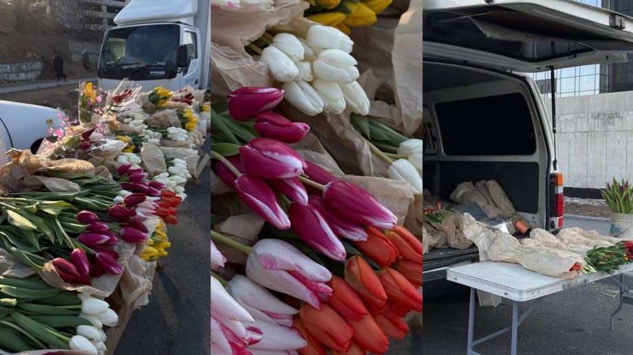 Тюльпаны к 8 марта во Владивостоке начнут продаваться с 1 марта