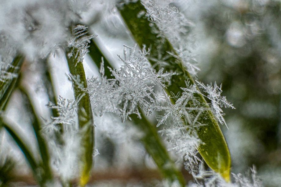 Погода устроит жителям Приморья настоящие температурные качели