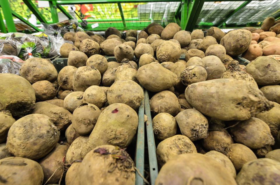 Фото: Александр Потоцкий / PRIMPRESS | Медики рассказали о пользе картофеля