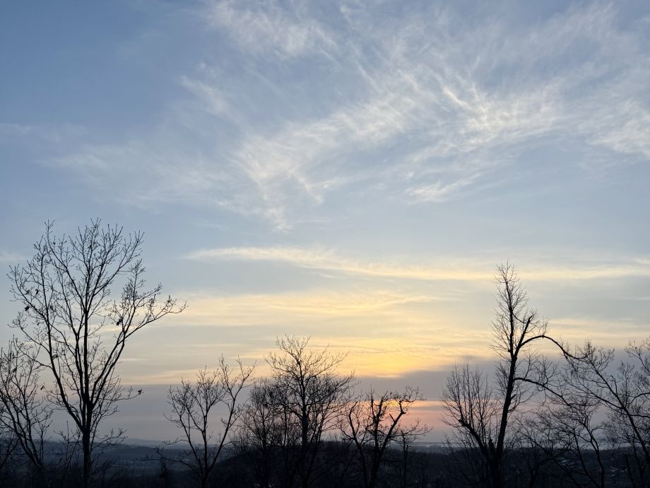 Весна пришла раньше времени: синоптики пообещали рекордные температуры Приморью