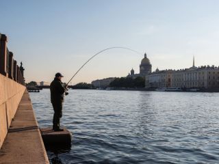 Почему в блокадном Ленинграде не ловили рыбу, хотя город окружен водой