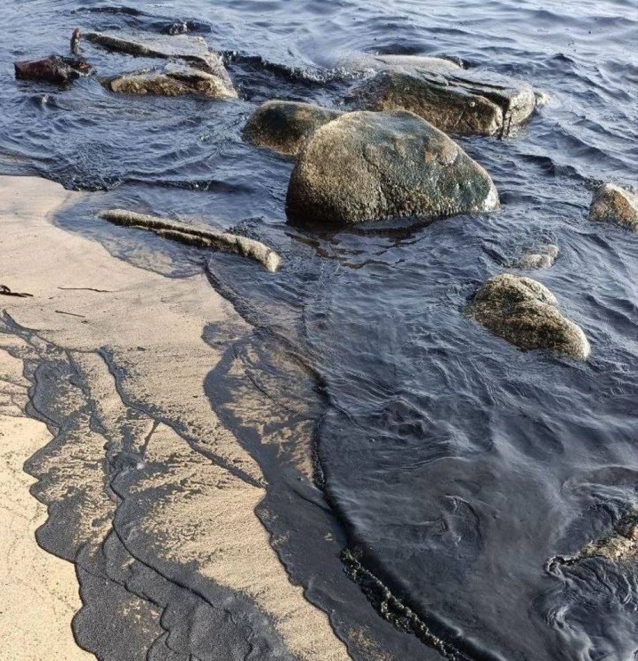 Экологическая угроза у берегов Приморья: бухта Врангель покрылась угольной пылью