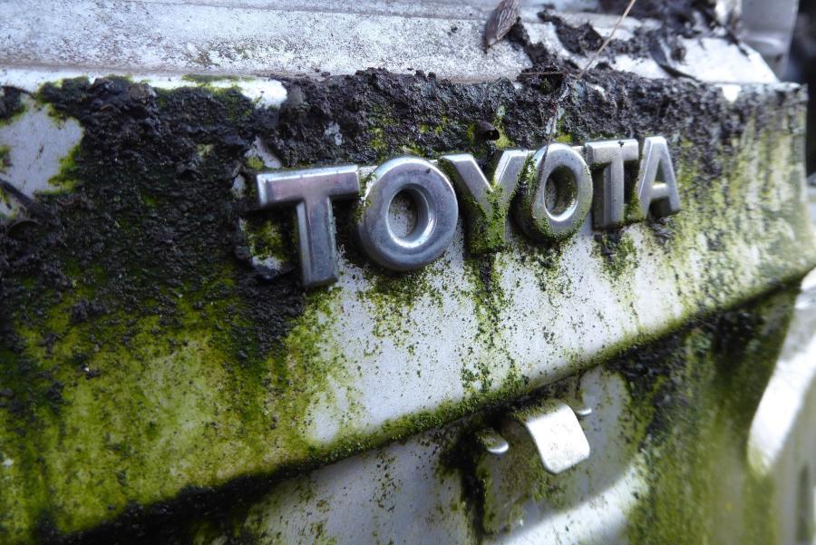 the new Toyota RAV4 caused a strong reaction in Primorye