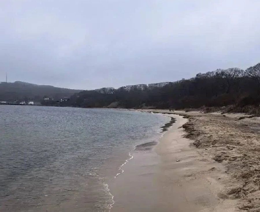 «Экокатастрофа» в Находке: местные активисты решили «помочь» прокуратуре?