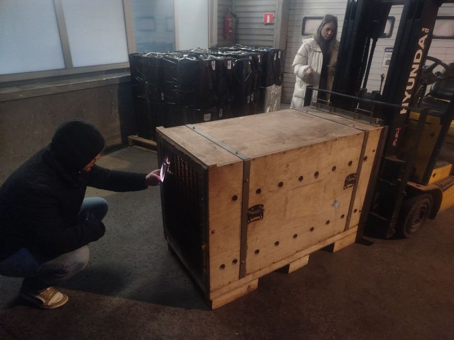 Ручная медведица из Приморья переехала в Ростовскую область