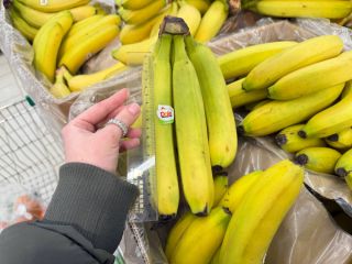 Самый короткий банан в Приморье – 12 сантиметров