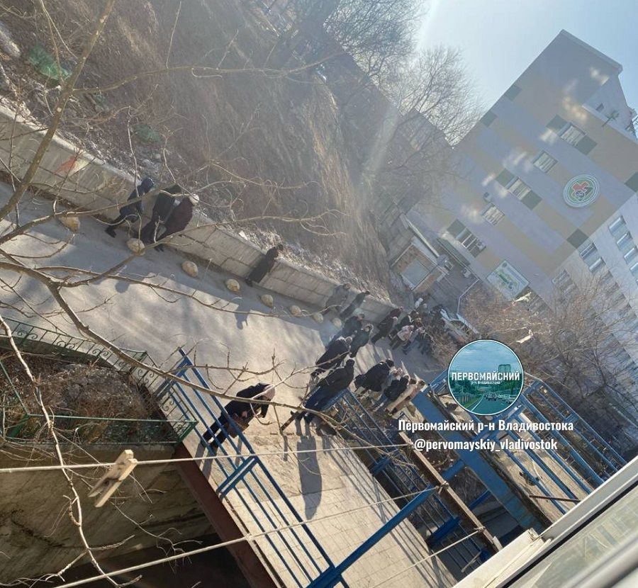 Две поликлиники Владивостока снова получили сообщения о минировании