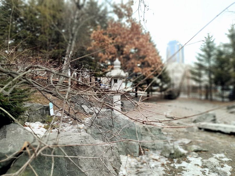 Северный ветер вновь унёс весну из Владивостока