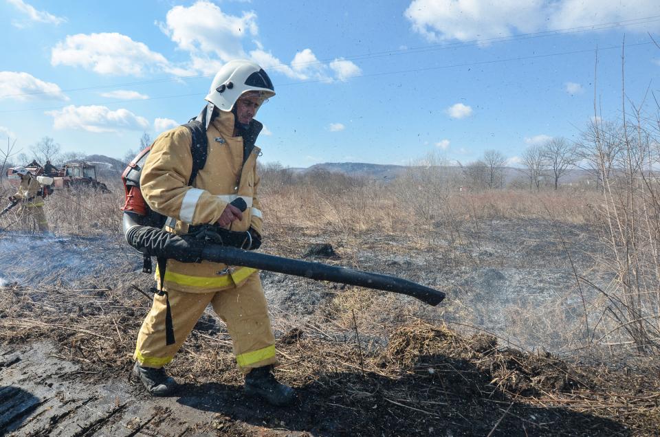 Фото: Александр Потоцкий | В Приморье задержан очередной поджигатель сухой травы