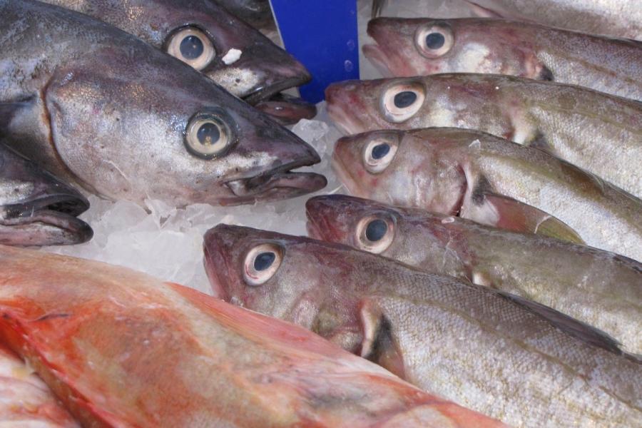 «Похоже, началось»: жительница Приморья зашла в рыбный магазин и испытала шок