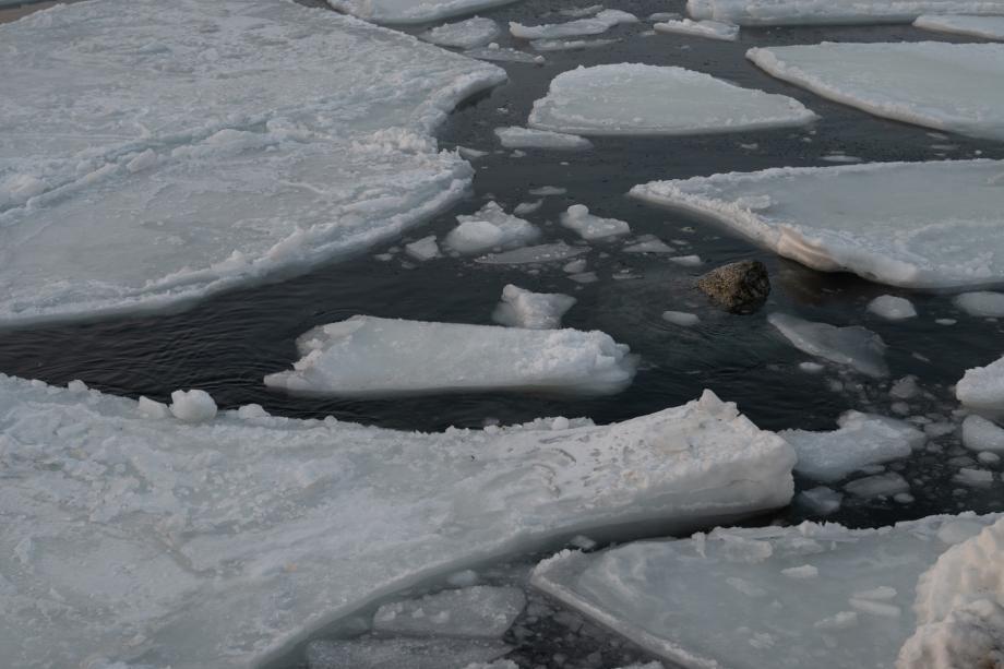 Нельзя выходить на лед. Во Владивостоке введен запрет
