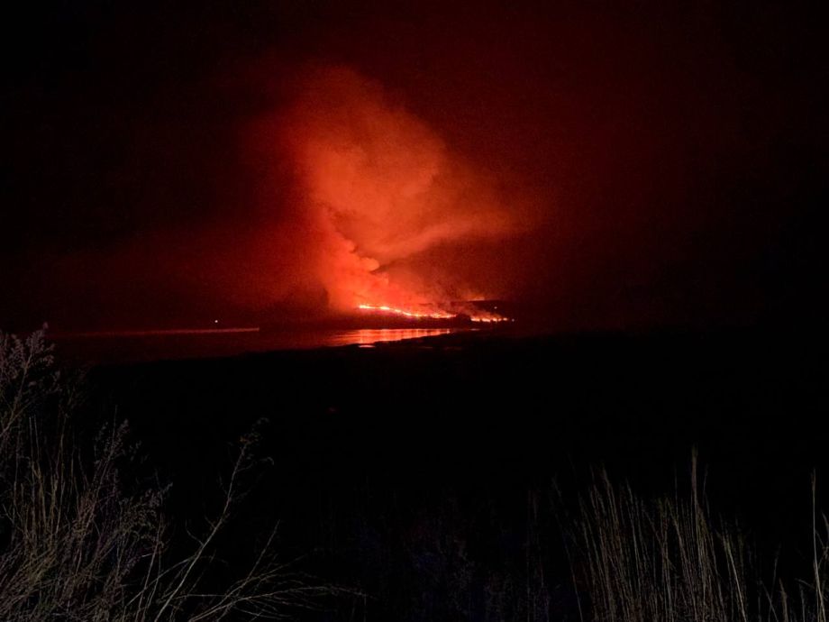 Более 100 гектаров травы и леса сожжено в Приморье за сутки