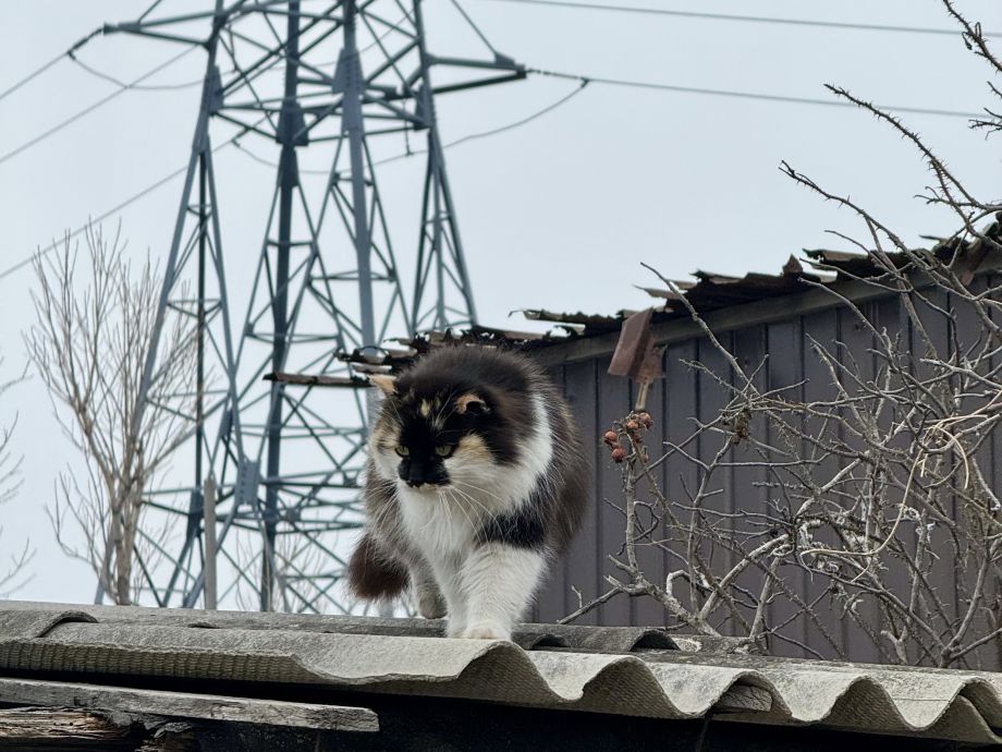 Снег вернется в Приморье уже в середине недели