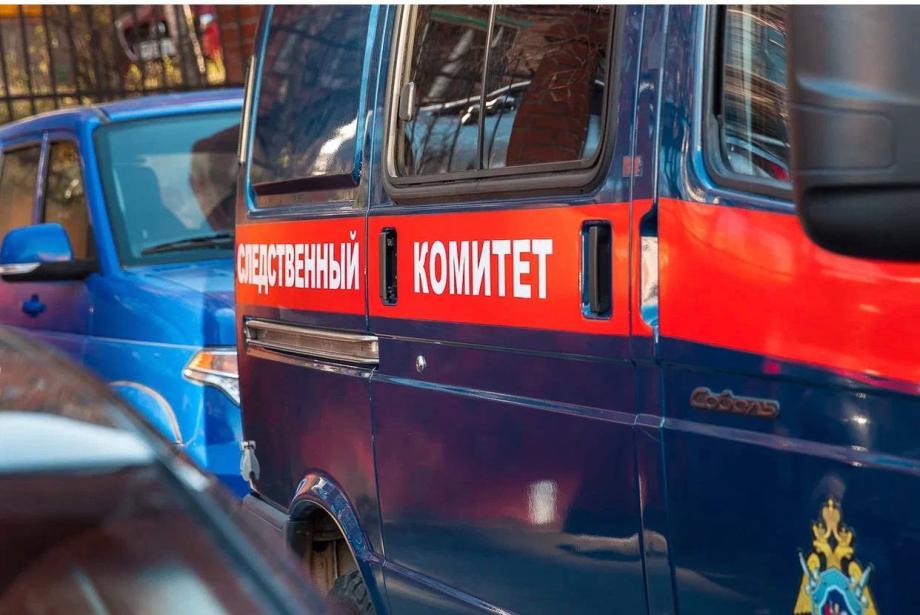 Бастрыкин потребовал отчет о деле владивостокского таксиста-мигранта
