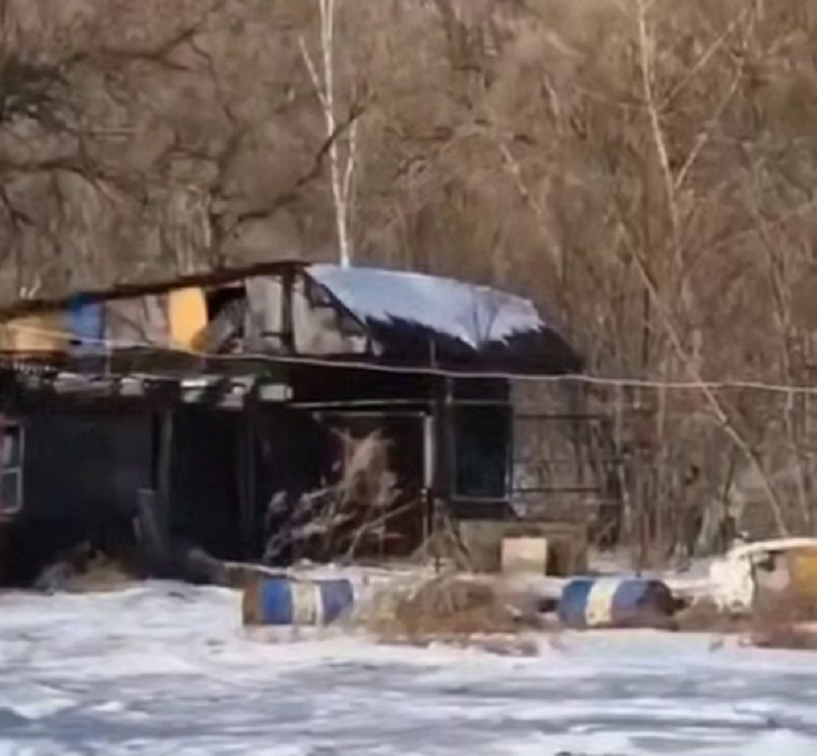 Леопард забрался в дом в Приморье: хищника прогоняли выстрелами