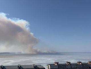 Праздник – огонь: в Приморье на выходных выгорело почти 4 тысячи гектаров