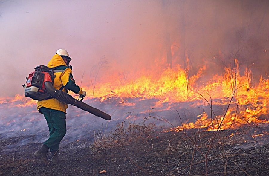 Почти три тысячи футбольных полей горели в Приморье — пламя охватило 2000 гектаров