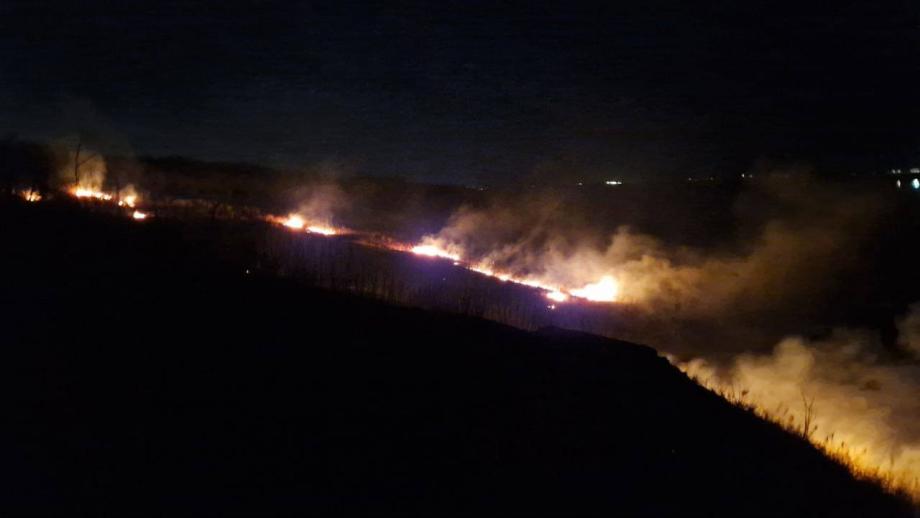 Страшный пожар охватил лес в районе Тихой во Владивостоке