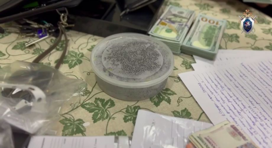 Икра, доллары и Rolex: в Приморье раскрыта крупная контрабанда