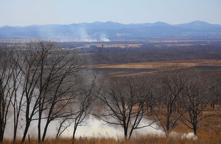 Самые маленькие природные пожары по площади потушили в Приморье