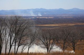Самые маленькие природные пожары по площади потушили в Приморье