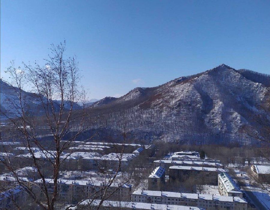 Двое приморских «бунтарей» получили сроки за надругательство над флагом