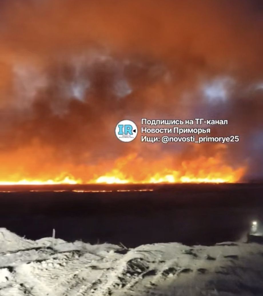 Страшный пожар бушует в районе Нежино: огонь подбирается к селу, пожарных пока нет