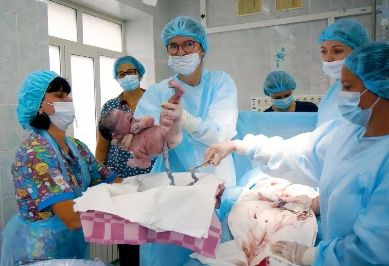 Настоящий богатырь появился на свет в Приморье