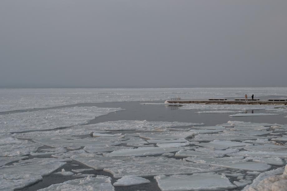 Экологическая катастрофа: Амурский залив во Владивостоке стал коричневым и воняет канализацией