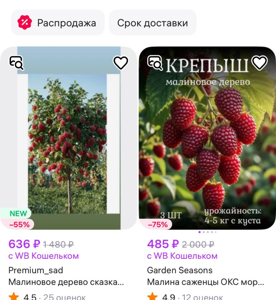 Голубая малина и деревья-мутанты: нейросети заманивают приморских дачников в ловушку