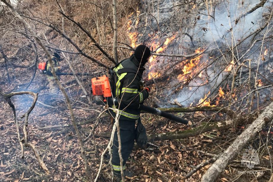 Пожары в Приморье уничтожили больше 1000 гектаров