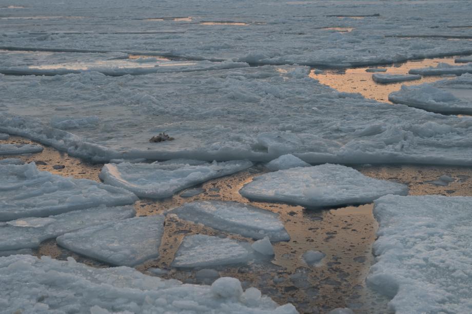 Три сотни спасенных на льду: неутешительные итоги озвучили в МЧС