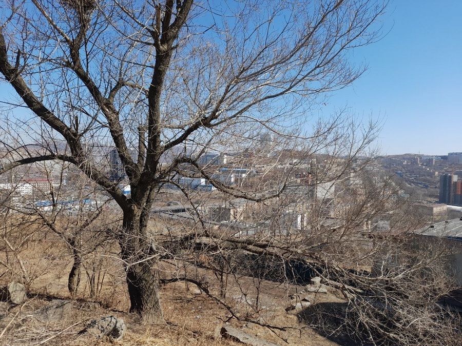 Владивосток встречает выходные весенним теплом