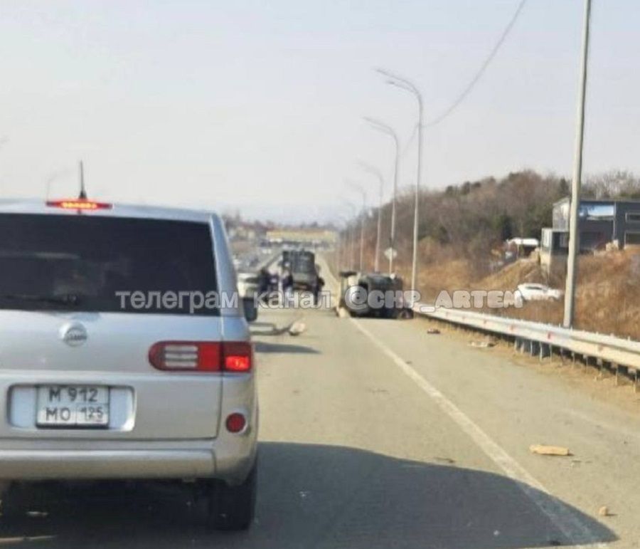 ДТП на выезде из Владивостока: пострадали люди и собака