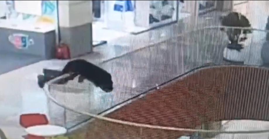 Во Владивостоке мужчина спрыгнул с третьего этажа в популярном торговом центре