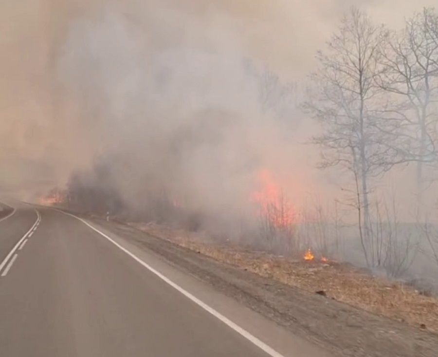 Хасанский округ Приморья продолжает выгорать тысячами гектаров