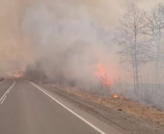 Хасанский округ Приморья продолжает выгорать тысячами гектаров