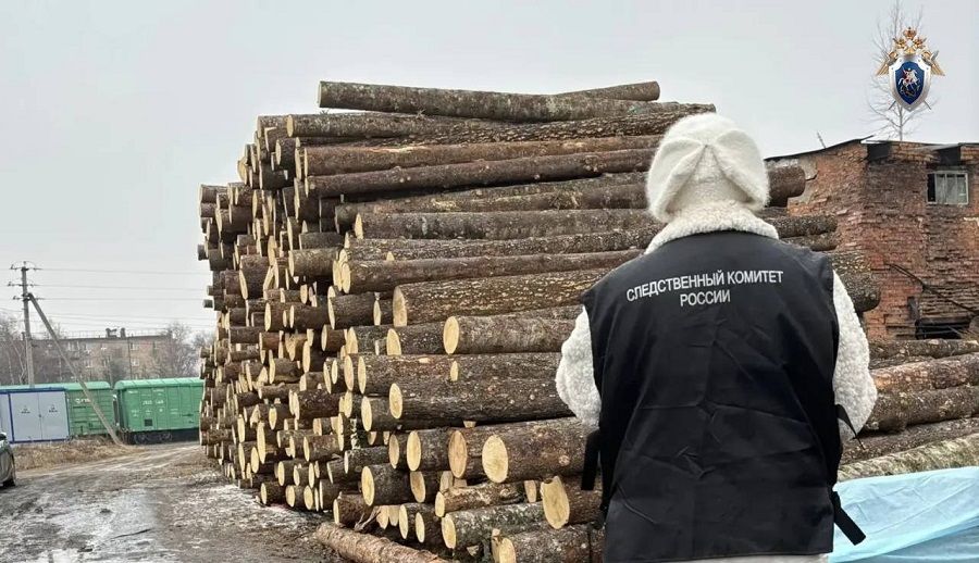 Трагедия в Приморье: в Арсеньеве школьника раздавило брёвнами