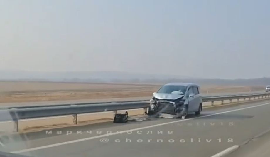 Ночная поездка закончилась трагедией с коровами на трассе в Приморье