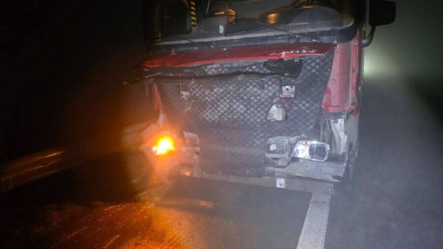 Ночной наезд на стадо коров в Приморье совершил грузовик