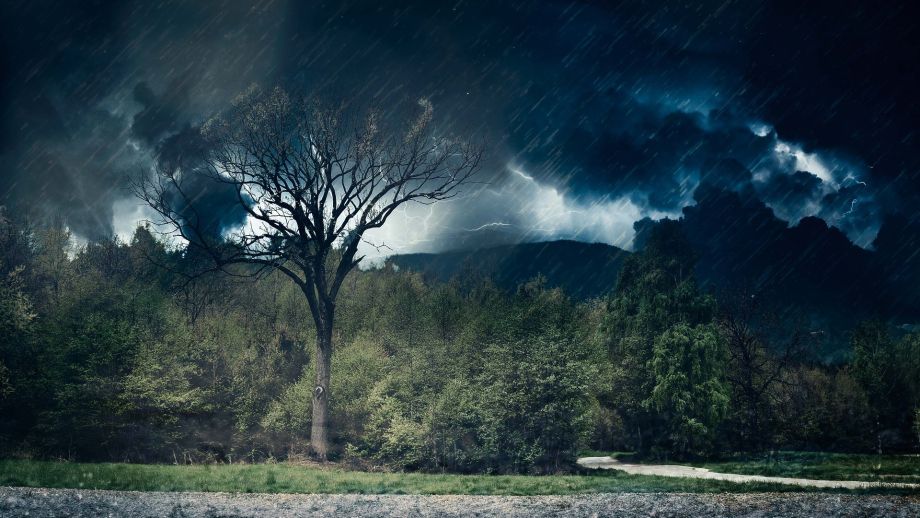 «Такого летом еще не было». Синоптики дали новый прогноз с июня по август