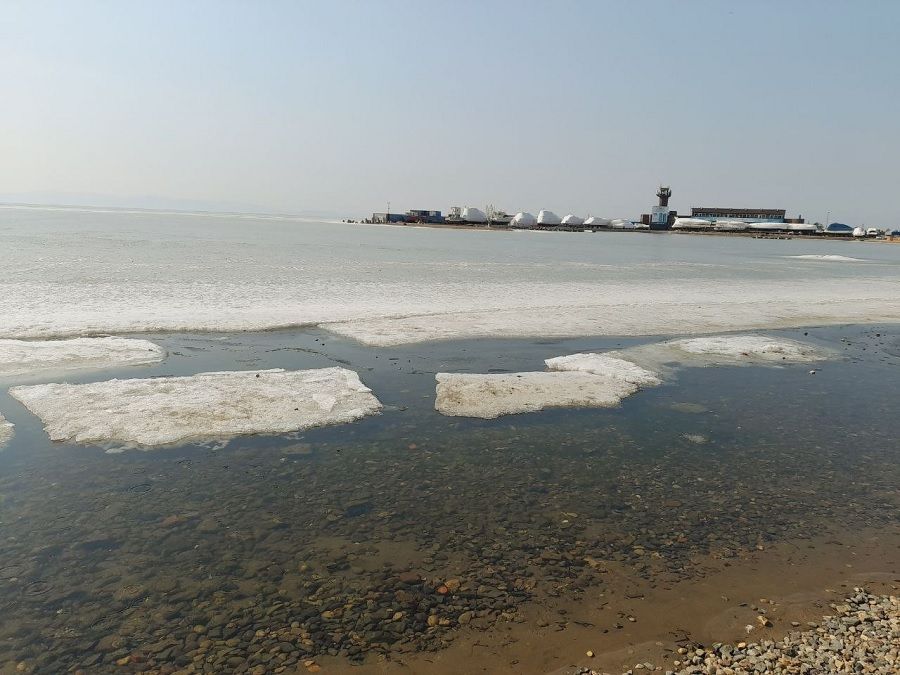 Весеннее тепло практически растопило льды в заливах Приморья