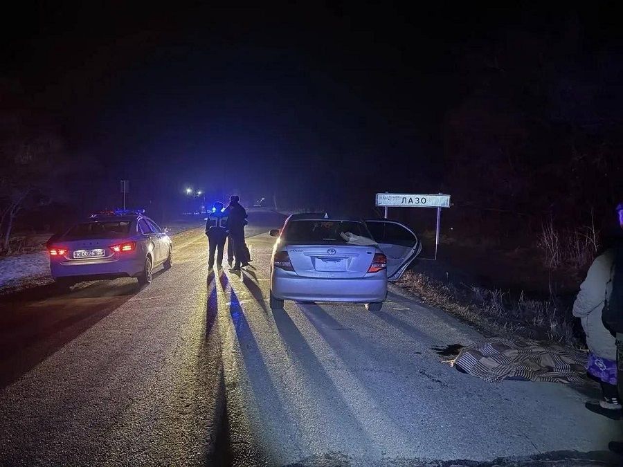 Сбил человека и скрылся: смертельная авария произошла в Дальнереченске