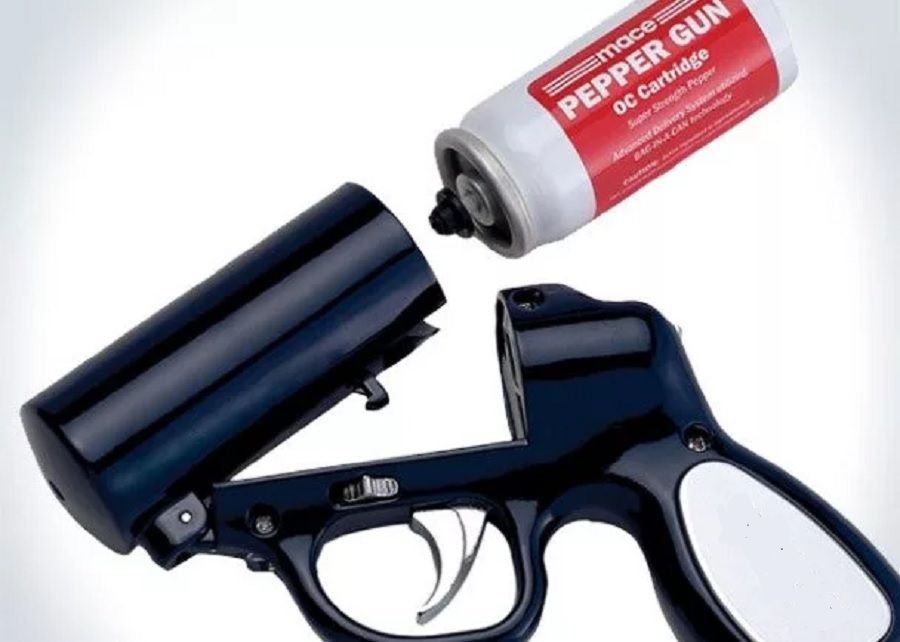 Доставщик с газовым пистолетом напал на женщину с собакой во Владивостоке