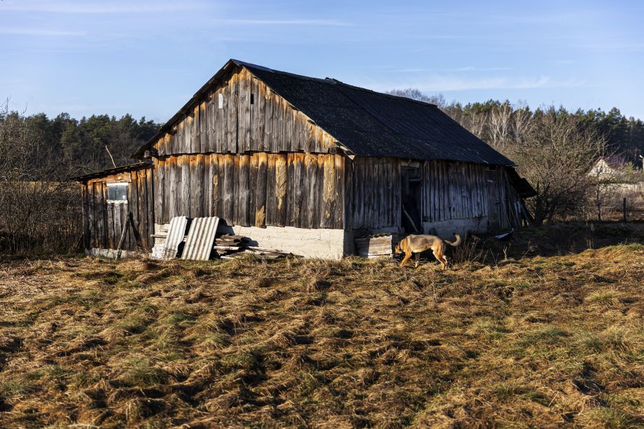 С апреля вводятся новые правила для тех, у кого на участке баня или сарай