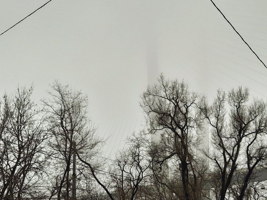 Неделя во Владивостоке начинается с тумана